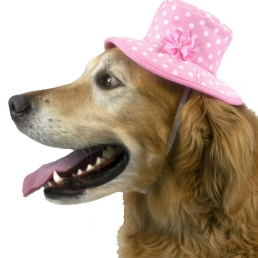 ❤️10/$13 New Pink Polka Dot Dog Hat